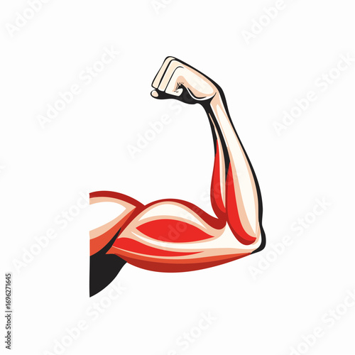 Forearm muscle