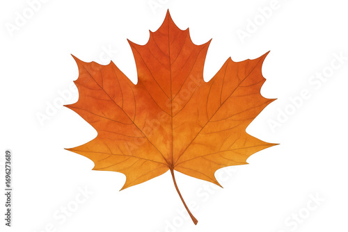 Wallpaper Mural Vibrant orange maple leaf isolated on transparent background Torontodigital.ca