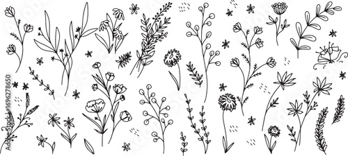 Floral Line Drawing Vector Illustration – Flower, Plant, Nature, Botanical, Decorative, Simple, Artistic, Minimal, Pattern, Outline, Elegant, Sketch, Garden, Natural, Design