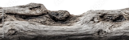 A weathered, grey branch with rough, textured surface, knotholes and various contours