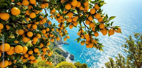 Sun-drenched Amalfi Coast lemon trees cascade down to the sparkling Mediterranean Sea,  vista,  agriculture
