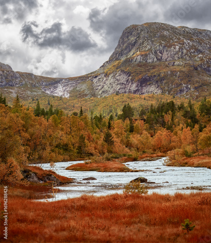 Where wilderness meets quiet living - autumn river runs through Norwegian forest near the edge of human presence, blending nature and simplicity.
