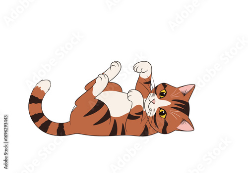 Adorable ginger tabby kitten playing on its back in a playful manner with paws extended towards the sky