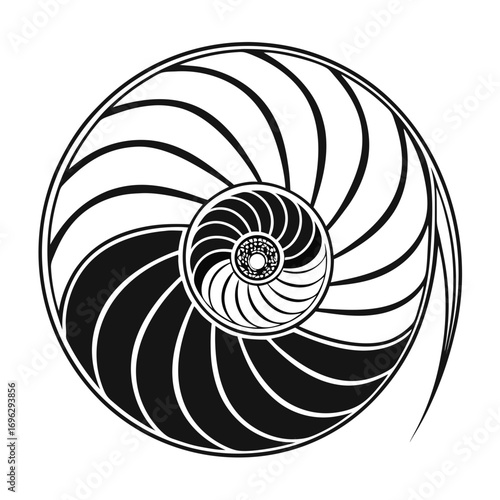 Nautilus shell, a fibonacci sequence concept