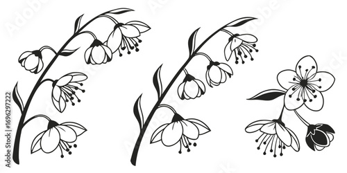 blossom-heart-icons-set---6-minimalist-icons---bla