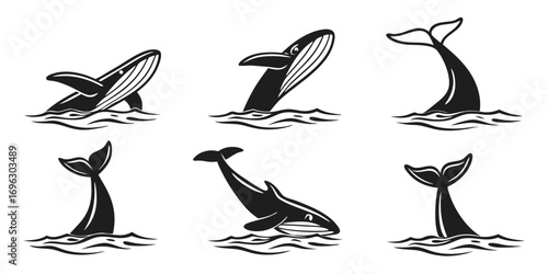 Set of Stylized Whale Illustrations in Water.