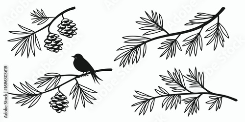 Wallpaper Mural Silhouette of a Bird on a Pine Branch with Cones. Torontodigital.ca