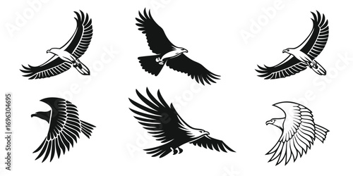 abstract-eagle-wing---icons-set---6-minimalist-ico