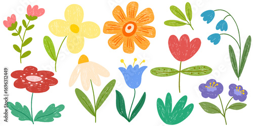 Colorful crayon flowers and plants collection. Naive style kid's drawing. Pencil ink drawing flowers and leaves in naive style, childish or primitive drawing. Kids doodle vector illustrations 