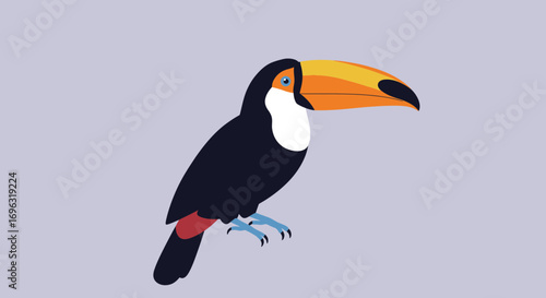 Cartoon illustration of a toucan perched against a pastel background