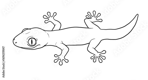 Detailed line art illustration of a gecko, perfect for coloring books and educational resources