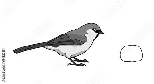 Illustration of a cute, small, gray bird standing near a white rock outline
