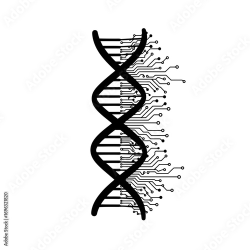 dna strand on white background