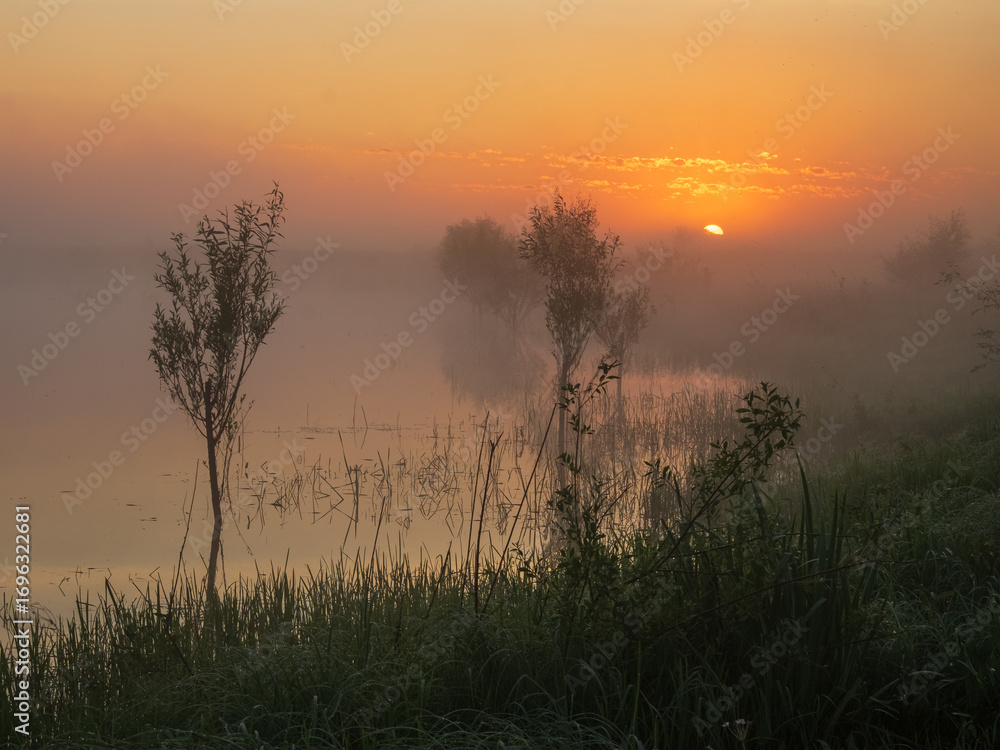 Obraz premium sunrise in the morning fog