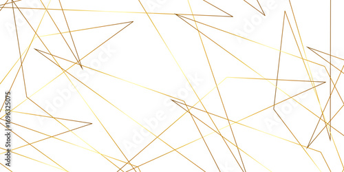 Triangular 3d, modern background Modern geometrical dynamic and seamless abstract white background. Random chaotic lines abstract geometric pattern. .graphic background dots with connections for your