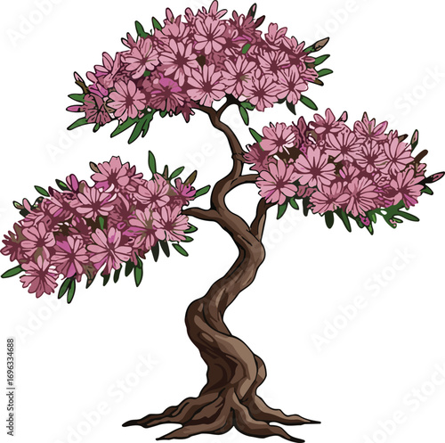 Elegant pink flowering tree with twisted trunk, isolated on white background, nature illustration, bonsai style, spring bloom, ornamental plant, gardening concept.