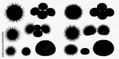 Black silhouette illustrations of sea urchins in various shapes and sizes on a transparent background.
