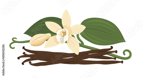 The delicate beauty of vanilla orchids and their fragrant pods cultivated for global culinary delights