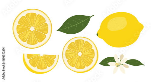 Bright yellow citrus fruit lemons whole slices leaves and blossoms for refreshing summer drinks and zesty flavors
