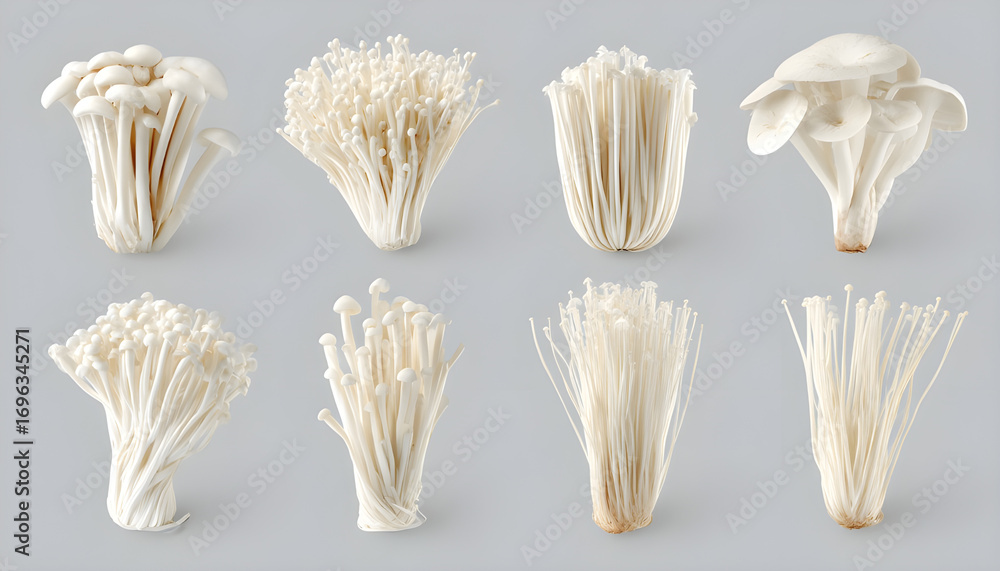 Obraz premium Pack Enoki Set in Different Poses Against Transparent Background for Asian Cuisine, Health Foods, or Recipe Design