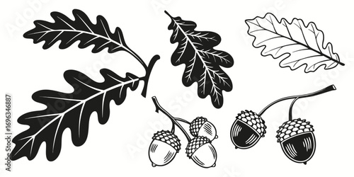 Oak Leaves and Acorns Collection.