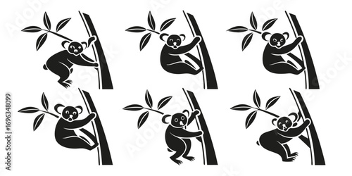 Six Cute Koalas Climbing Eucalyptus Trees.