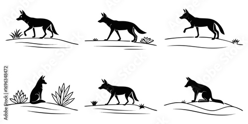 Six Silhouette Poses of a Coyote in Natural Environment.