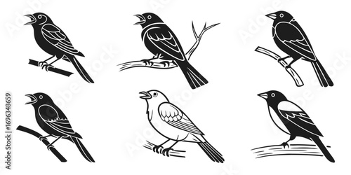 Six Stylized Black Birds Perched on Branches.