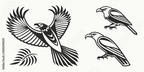 Stylized Eagle Bird Graphics Collection.