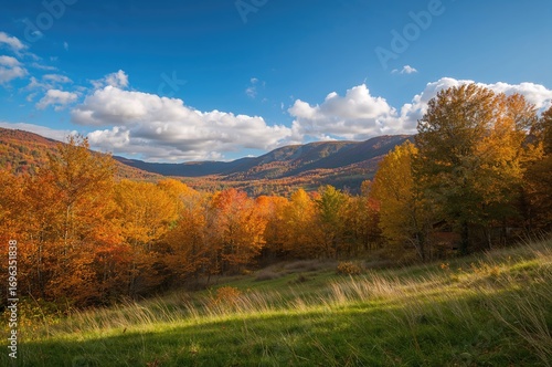 Fototapeta Naklejka Na Ścianę i Meble -  Mountain woodland during fall season