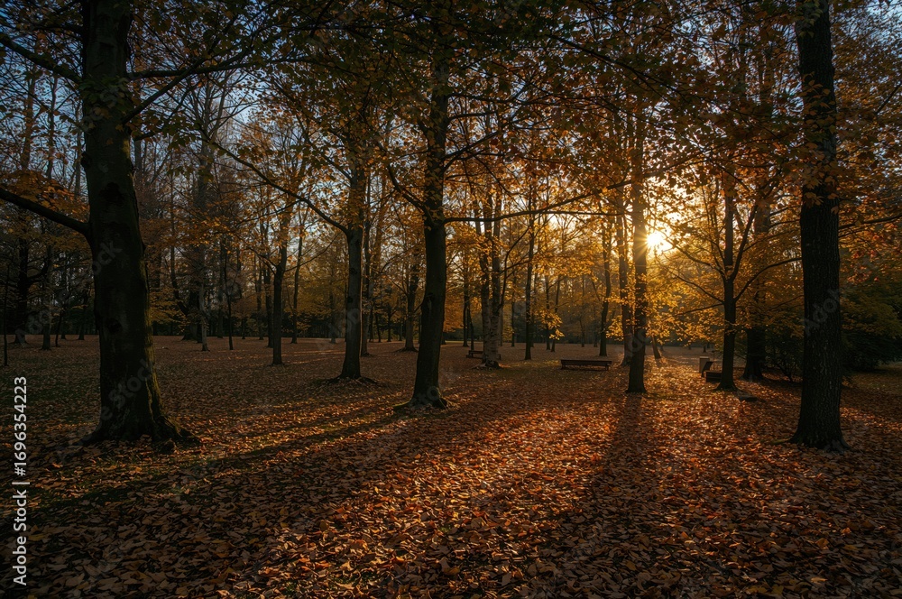 Naklejka premium Fall season in seasonal parks