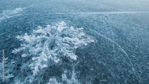 Wallpaper Mural Frozen lake covered with ice crystals Torontodigital.ca
