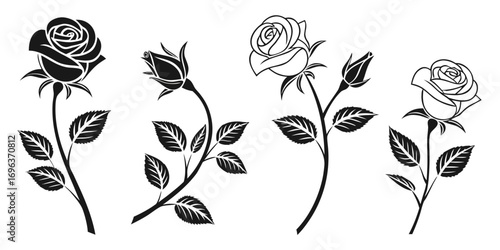 Elegant Black and White Rose Illustrations Collection