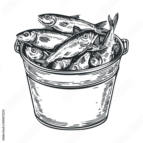 Fresh catch of small fish in a metal bucket for market display. Vector hand drawn illustration