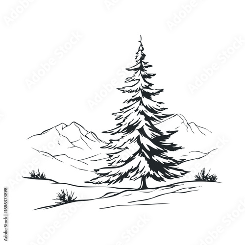 Mountain landscape with pine tree in winter setting. Vector hand drawn illustration