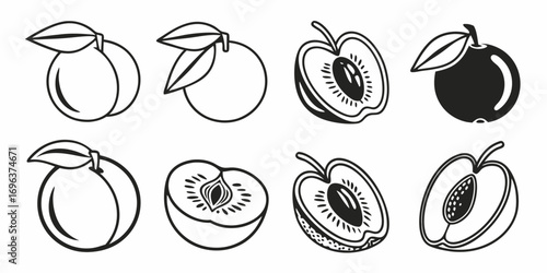 Set of Stylized Fruit Illustrations with Leaves and Pits