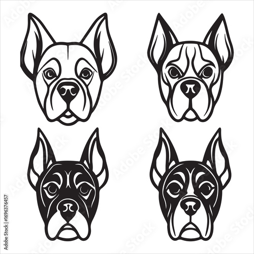 A Playful and Energetic Boxer, a Muscular and Loyal Companion with a Wrinkly Face and Goofy Personality