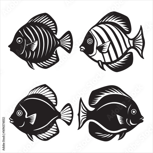 A Majestic and Colorful Discus Fish, the King of the Aquarium, with its Distinctive Disc-Shaped Body and Vibrant Patterns, Swimming Gracefully