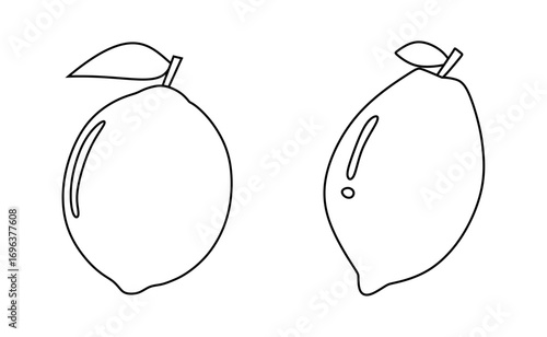 lemon line outline icon isolated on white background. lemon icon set