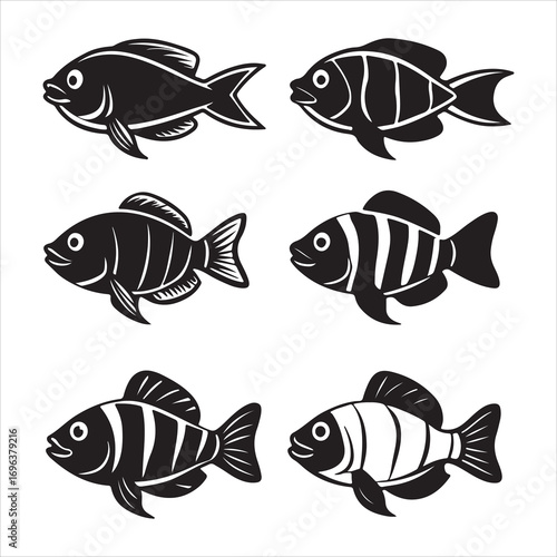 A Bold and Intelligent Oscar Fish, a Large and Colorful Cichlid with a Distinctive Blotchy Pattern, Displaying its Territorial Personality in an Aquarium