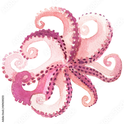 Watercolor painted octopus. Hand drawn fresh seafood design element isolated on transparent background.