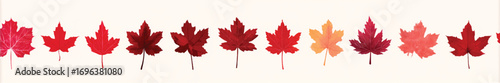 Autumnal Maple Leaf Variety in Watercolor Style with Warm Tones and Delicate Details on White Background