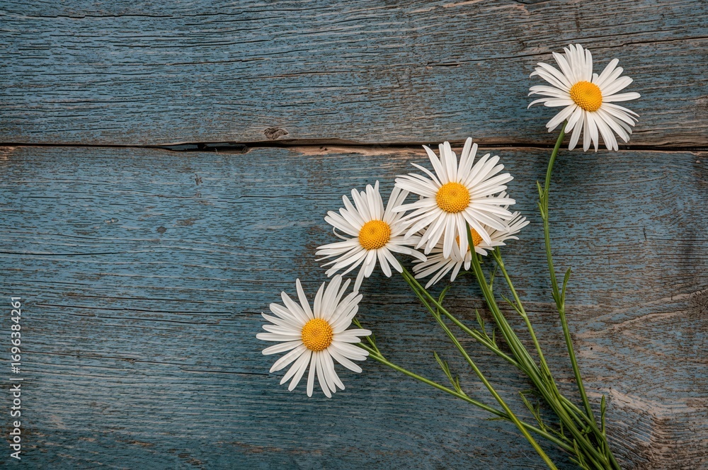 Obraz premium Vintage wooden surface adorned with chamomile blooms, nature's summer texture on display
