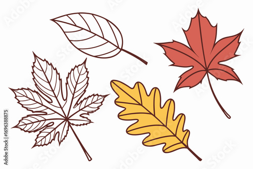 Collection of stylized autumn leaves in red yellow and outline drawings
