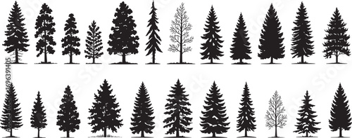 Silhouettes of realistic pine trees