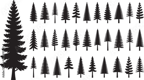 Pine tree silhouette collection on white background.Spruce tree silhouette set on white background