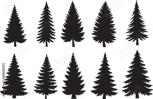 Silhouettes of realistic pine trees