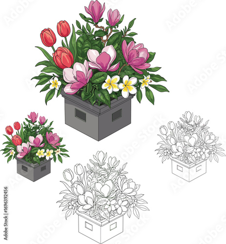 Colorful tulip and plumeria flower arrangement in gray pot with green leaves, shown in full color and black‑and‑white outline vector styles
