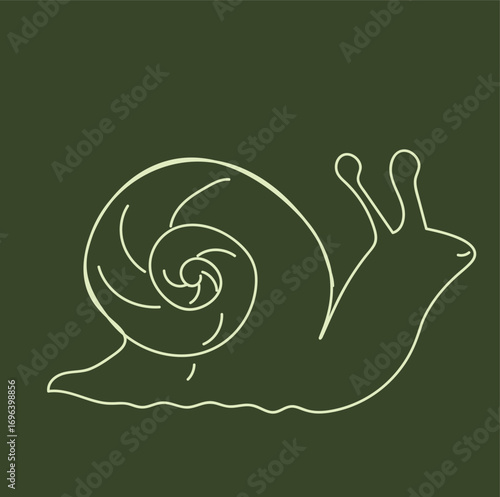 snail on a green background