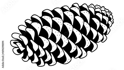 black and white cones on white background